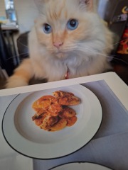 The Year Round Nigel Slater Discussion thread