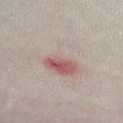 I will get it checked, but any ideas?