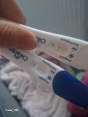 Clear blue test. Evap line or positive