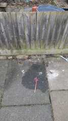 So much dog poo - what can be done?