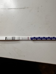 Pregnancy test