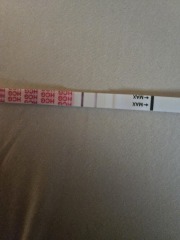 TTC #1 no previous pregnancies cycle #6 - looking for others in the same boat!