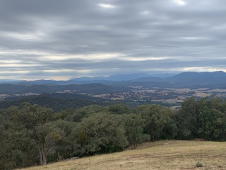 The Great Recovery part 4