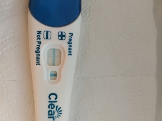 CB rapid evap at 15 minute mark?