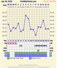 Frustrated trying to work out ovulation