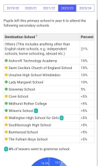SW London schools: info on Graveney, Chestnut, Hurlingham etc