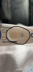 Pregnancy test