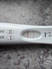February/March FET