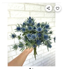 Pls hep me pick my wedding flowers?