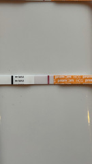 8dpo