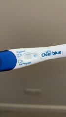 What did your 10/11 dpo tests look like?