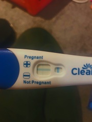 Clear blue test. Evap line or positive