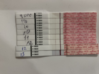 TTC #1 no previous pregnancies cycle #6 - looking for others in the same boat!