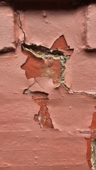 Exposed brick work causing damp