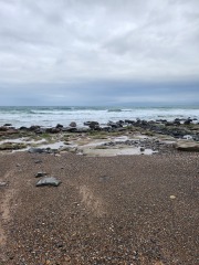 Mounjuro August starters - thread 11