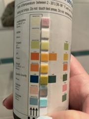 Urine dip sticks *pics included*