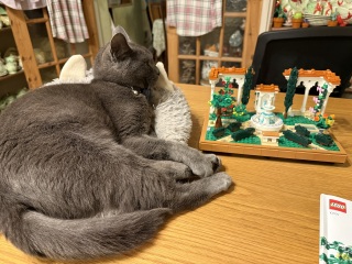 Lap dances, strippers and punch-ups - the Excellent Cats arrange a stag party