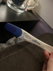 11/12 dpo night time test