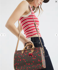Would you use this bag even it similar to LV?