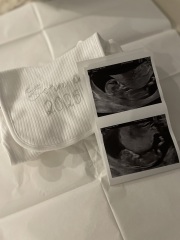 Any gender guesses