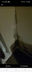 To think our house is making DC sick