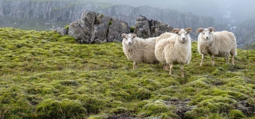 Christian Art Thread