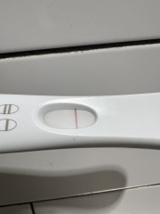 Anyone see a faint line?