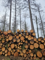 The Nigel Slater Christmas Chronicles Readalong 2024 Part 3