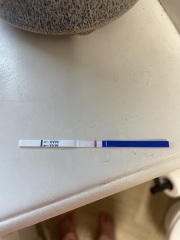 Feel like I’m losing the plot