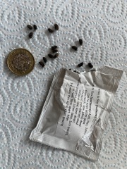 Help ID seeds