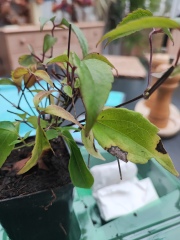 Spot the difference - J Parkers warning