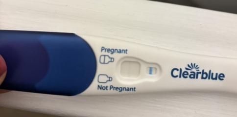 Evap lines or just a BFN?