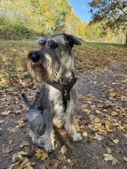 Does this breed exist?!