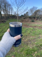 Cancer Support Thread 96: It’s nearly Christmas - get the sprouts on.