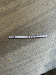 Pregnancy test