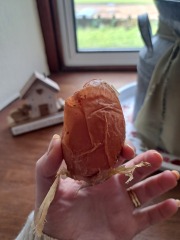 Weird egg