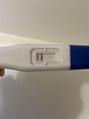 Very early pregnancy test