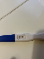Very early pregnancy test
