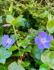 Any Witches here? Part 20