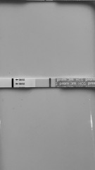 8dpo