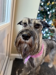 Does this breed exist?!