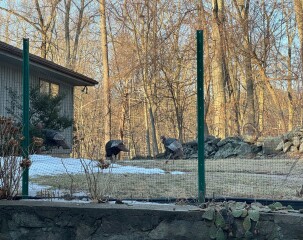 Come and tell us your dull and unexciting news 33: Calmly through the day