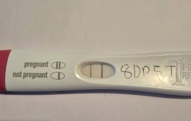 February/March FET