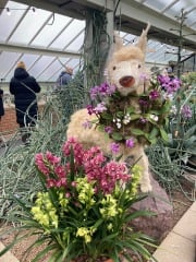 The Great Recovery part 4