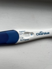 February 2025 TTC Support Group Part 2!