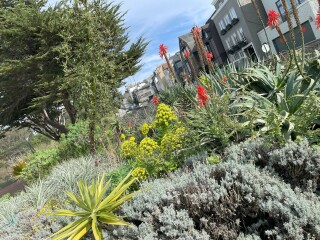 The Year Round Nigel Slater Discussion thread