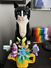 To show me your Lego collection?