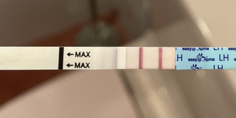 Which is first Positive OPK?