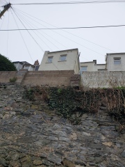 Vertical crack between windows - picture