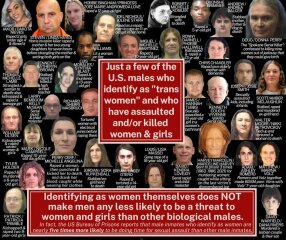 Anyone else think Trump will ultimately do more damage to the gender critical cause?